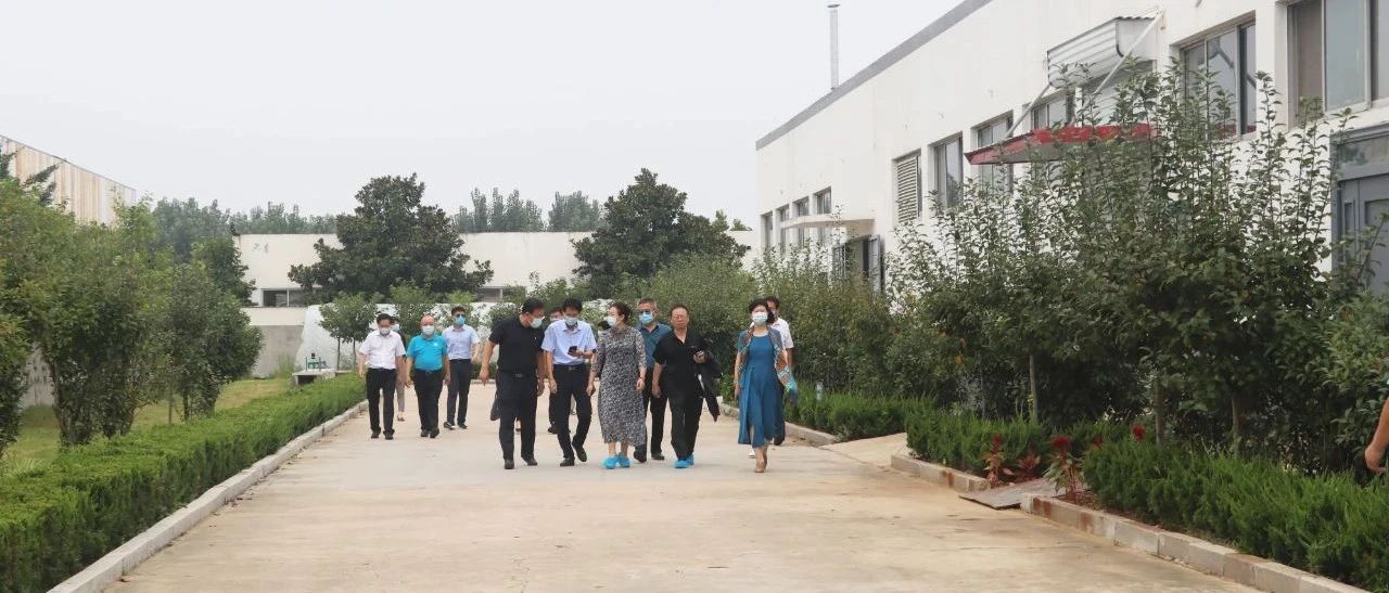 國濟尚領 | 考察調(diào)研謀新篇，凝心聚力促發(fā)展